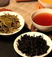 茶多酚是普洱茶的精华
